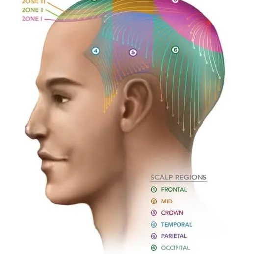 PAN Hair Scalp